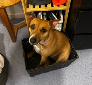 Photo de galerie - Tiana✨