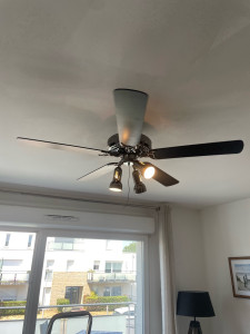 Photo de galerie - Montage et installation d'un luminaire Vintage équipé d'un ventilateur à pales comprenant l'assemblage des différents éléments, la fixation au plafond, le raccordement électrique.   Essais de fonctionnement de l'éclairage et de la ventilation.