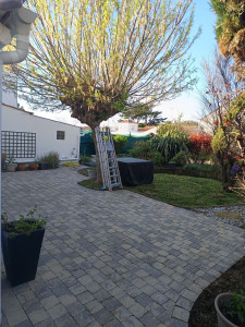 Photo de galerie - Tonte de la pelouse, désherbage des macifs ainsi que le nettoyage des dalles