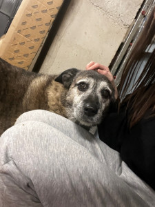 Photo de galerie - Liska