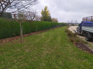 Photo de galerie - Paysagiste - Aménagement du jardin