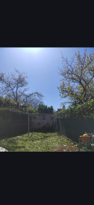 Photo de galerie - Taille de haie