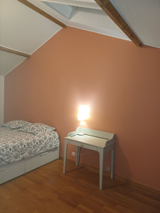 Photo de galerie - Murs en peinture, finition velours, teinte terracotta.