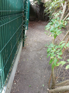 Photo de galerie - Nettoyage et desherbage ramassage des feuilles mortes chez un client