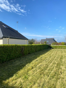 Photo de galerie - Tonte