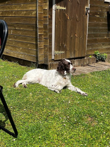 Photo de galerie - La petite Nila