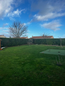 Photo de galerie - Taille de haies et d'arbustes