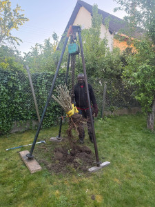 Photo de galerie - Bonjour je suis disponible pour faire votre Elagage ou coupe d’arbres