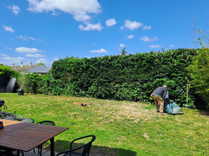 Photo de galerie - âpres 