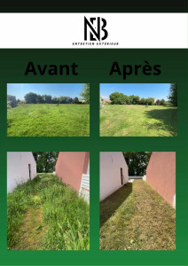 Photo de galerie - Entretien de jardin 