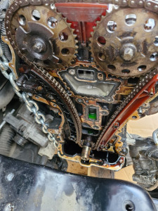 Photo de galerie - Chaine distribution 