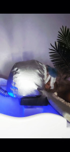 Photo de galerie - Médecine douce