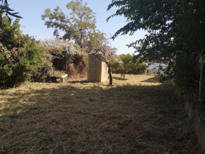 Photo de galerie - Tonte de pelouse - Débroussaillage