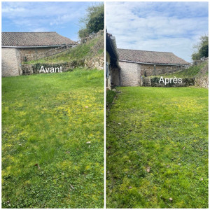 Photo de galerie - Tonte de pelouse - Débroussaillage