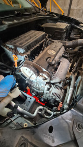 Photo de galerie - Petite distribution sur golf pour changer. 