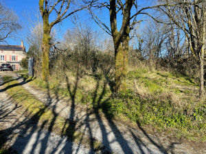 Photo de galerie - Paysagiste - Aménagement du jardin