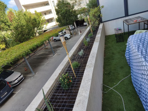 Photo de galerie - Implantation plantes aromatiques dans jardinières