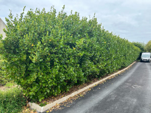 Photo de galerie -  avant 