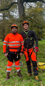 Photo de galerie - Nous travaillons avec Arboriste spécialiser , arbres difficile d accès et haute taille 