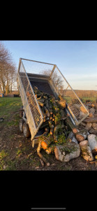 Photo de galerie - Elagage et coupe d'arbres