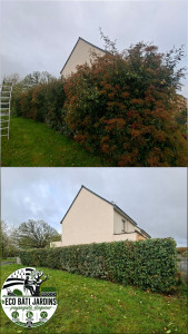 Photo de galerie - Tailles de rabaissement de cet haiew variés devenu trop haute.