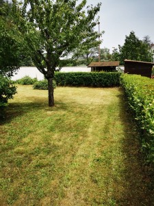 Photo réalisation - Tonte de pelouse - Débroussaillage - Aurélien B. - Sainte-Consorce : Travaux fini