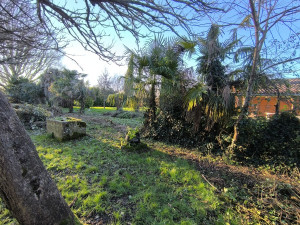 Photo de galerie - Jardin / Espace vert
