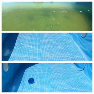 Photo de galerie - Nettoyage piscine remise à niveau complet 