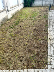 Photo de galerie - Tonte de pelouse - Débroussaillage