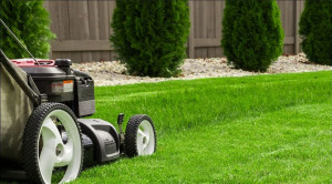 Photo de galerie - Jardinage 
