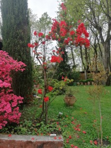 Photo de galerie - Jardinier