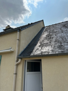 Photo de galerie - Peinture - Tapisserie