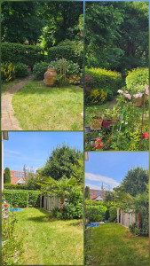 Photo de galerie - Mise en beauté d'un jardin par avec une haie bien délimitée 