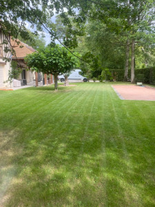 Photo de galerie - Tonte d’un jardin 