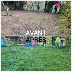 Photo de galerie - Remise en état pelouse