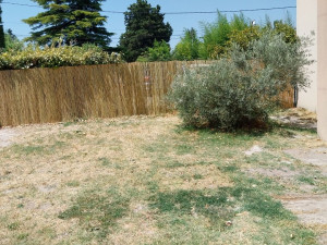Photo de galerie - Mise en place brise vue, roseaux 1.5m x 10m