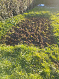 Photo de galerie - Paysagiste - Aménagement du jardin
