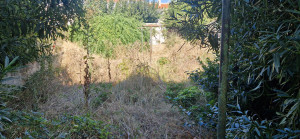 Photo de galerie - Avant 