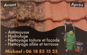 Photo de galerie - Démoussage toiture et façade allée et terrasse 
Nettoyage toiture et façade  terrasse muret et allée
Hydrofuge 
