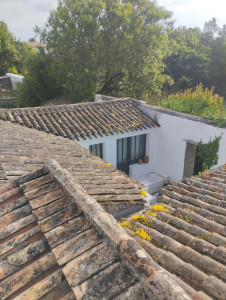 Photo de galerie - Nettoyage de la toiture avant 