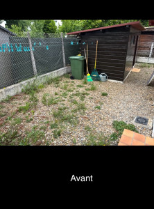 Photo de galerie - Tonte de pelouse - Débroussaillage