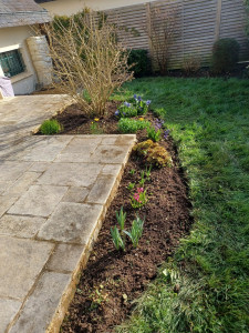 Photo de galerie - Plantation 