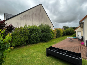 Photo de galerie - Elagage et coupe d'arbres