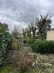Photo de galerie - Chantier réalisé