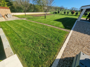 Photo de galerie - Engazonnement