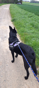 Photo de galerie - Que c'est bon les balades