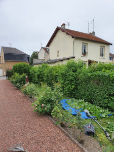 Photo de galerie - Taille de haies et d'arbustes