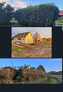 Photo de galerie - Suppression d’une haie de 66 m Lignières, puis passage de la Rogneuse pour rogner toutes les souches