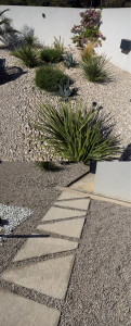 Photo de galerie - Paysagiste - Aménagement du jardin