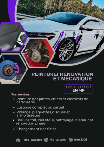 Photo de galerie - Carrosserie, entretien, lustrage et ciel étoilé etc…